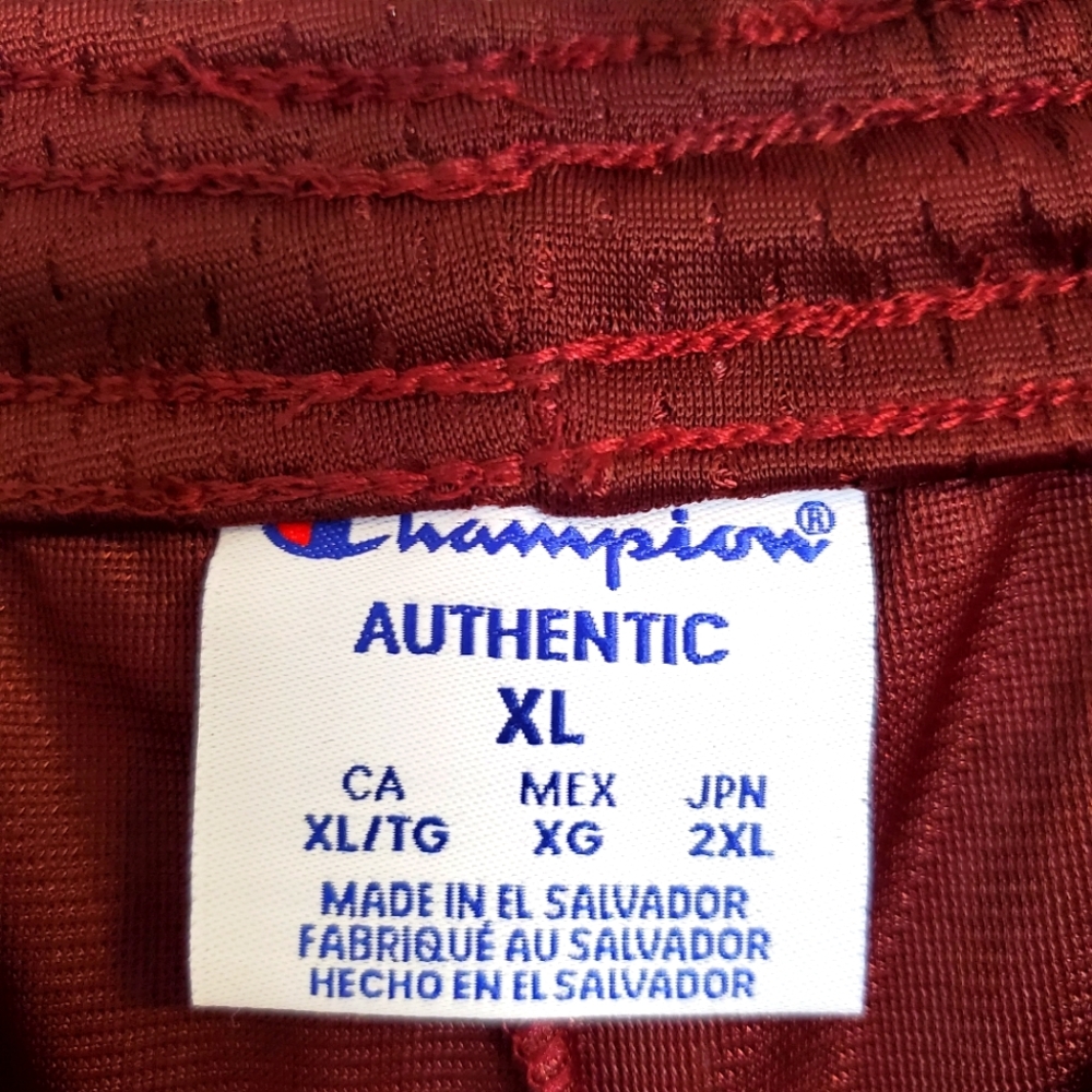 Champion Mesh Men's Shorts in Maroon Red - Picture 10 of 12